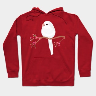 Cute egg shaped albino quaker parrot or monk parakeet Hoodie